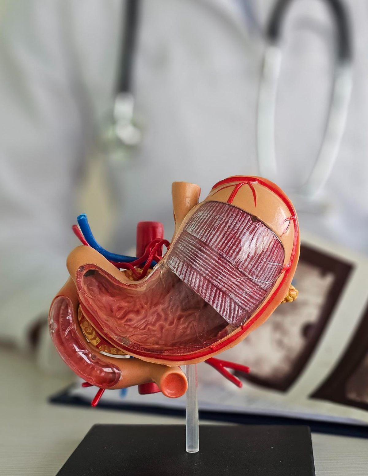 Banner-escritorio-Cirugía Bariátrica y Metabólica-v3.png