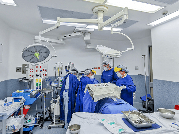 img1-Cirugía- Palma Real.png